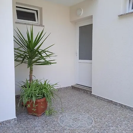 Apartments Renco Novalja Exterior photo